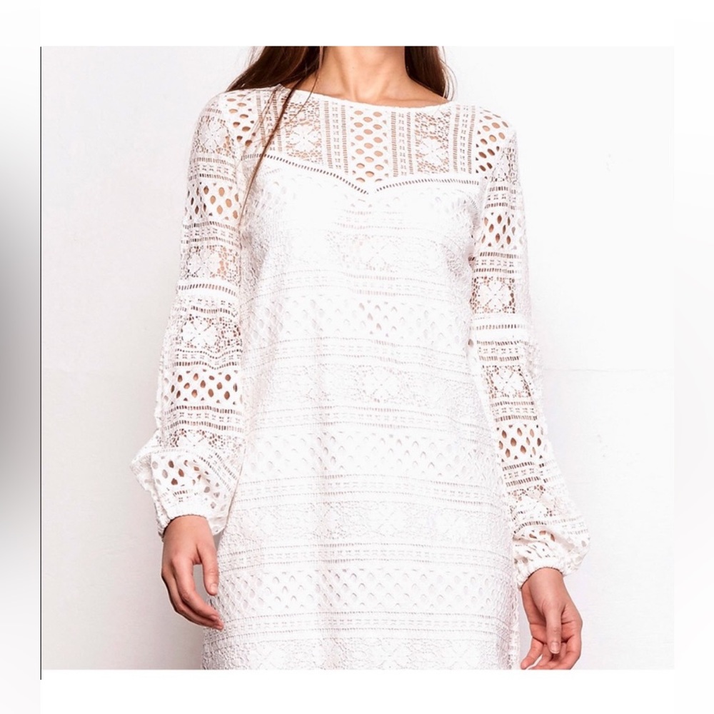 Jack by BB Dakota Currie Dress, S